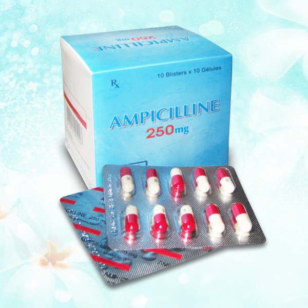 AMPICILLINE 250mg