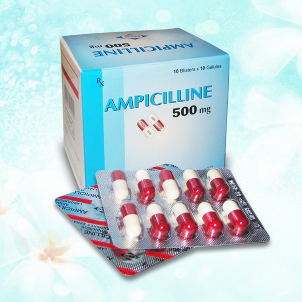 AMPICILLINE 500mg